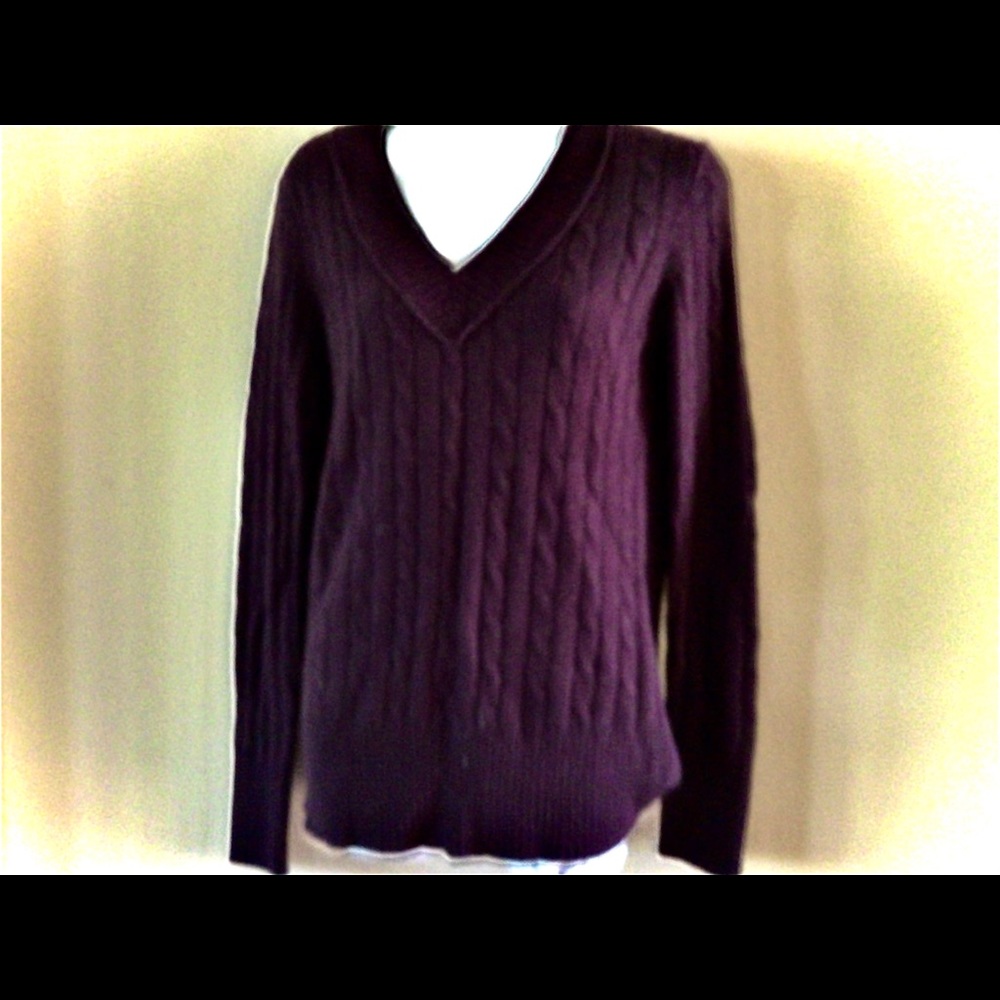 🔥final price Ann Taylor Loft M NWT plum